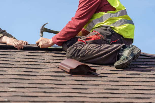 Best New Roof Installation  in Woodland Park, CO
