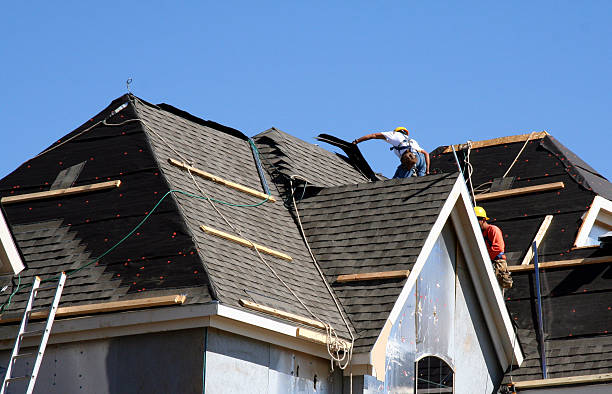 Best Roof Gutter Cleaning  in Woodland Park, CO