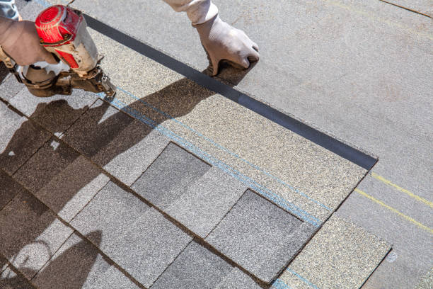 Best Metal Roofing Contractor  in Woodland Park, CO