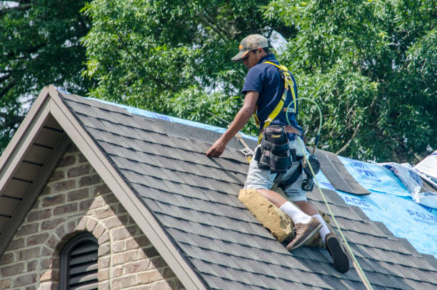 Quick and Trustworthy Emergency Roof Repair Services in Woodland Park, CO